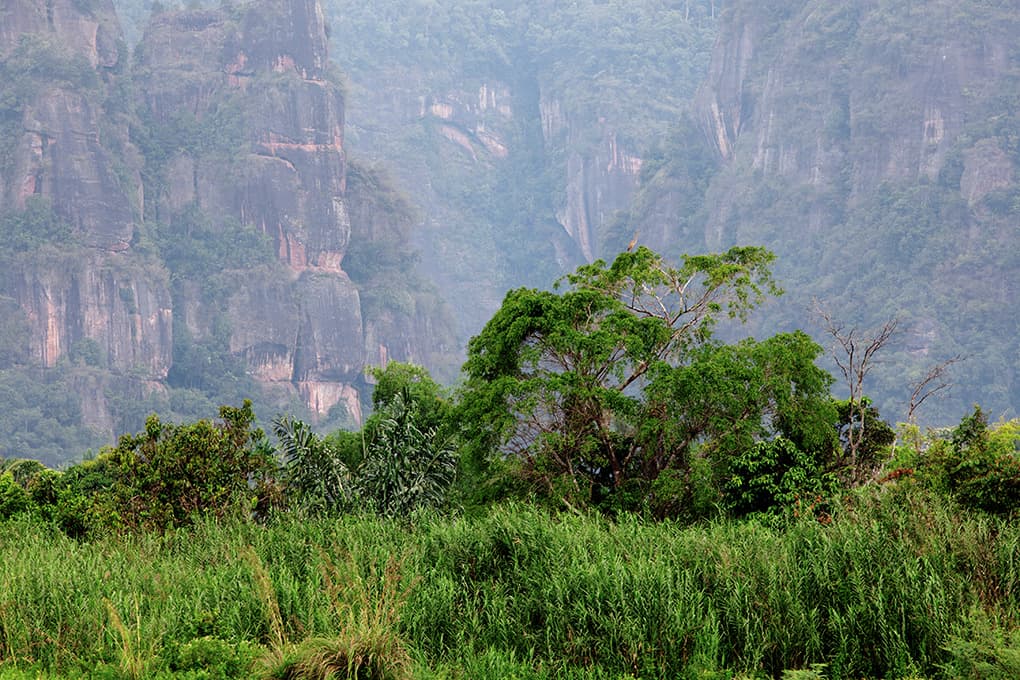 Das Harau-Tal