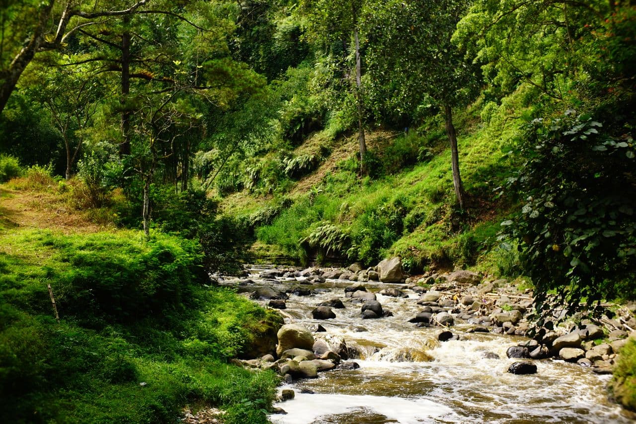 Nationalpark Lore Lindu