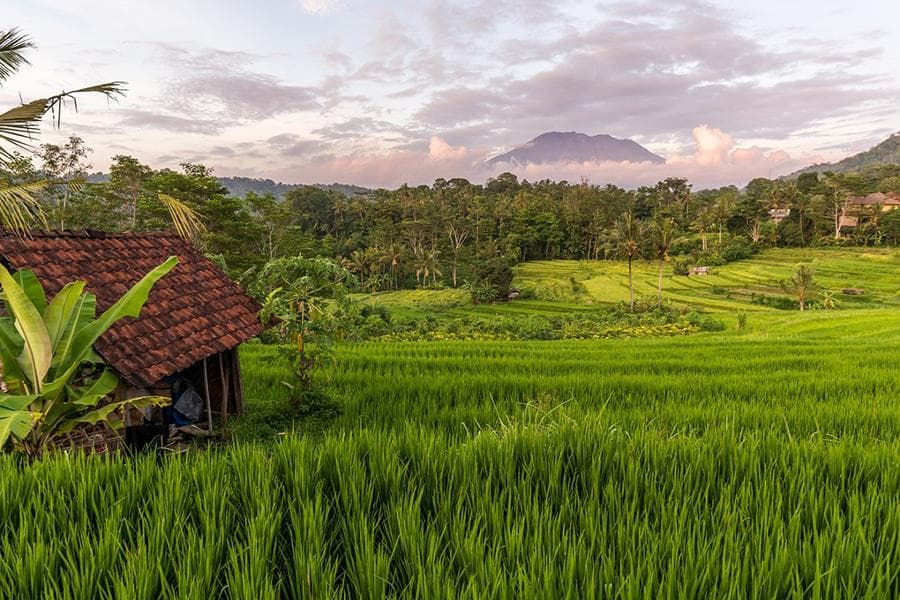Jour 18