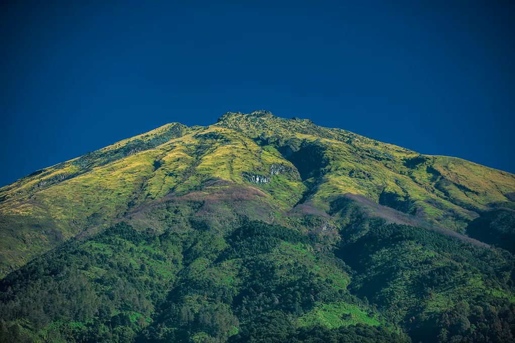 Java, Bali & Lombok Die Giganten der Sundainseln
