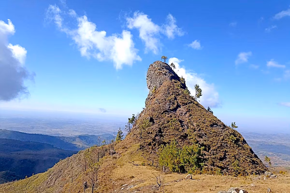 Aus dem mysteriösen Wald der Vazimba von Ankaratra zum Gipfel des Tsiafajavona